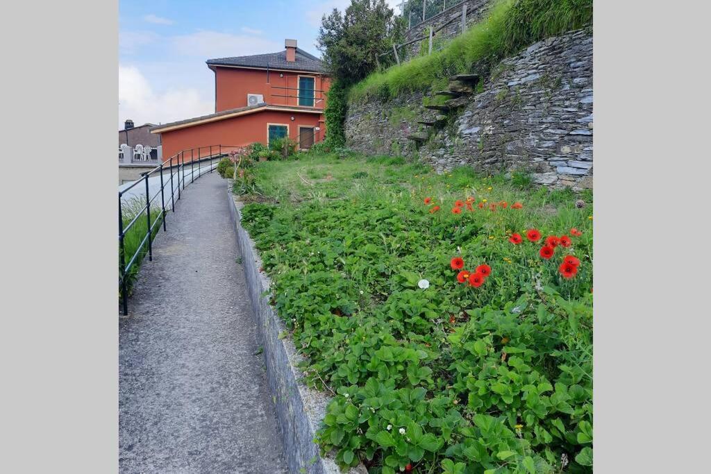 Villa La Finestra Sul Golfo - Citra 010018-Lt-0033 - à Cogorno Extérieur photo